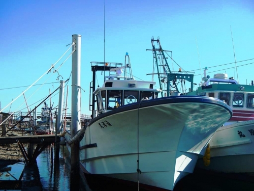 底曳船　清澤丸